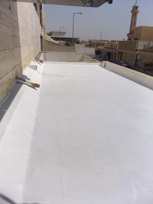 WhatsApp Image 2025-11-16 at 10.27.46 PM